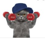 Cat-gangsta :)