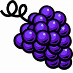 THE TRUE GRAPE CULT