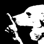 ¿?*