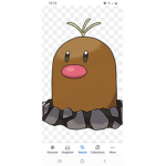 Team Digglet forever