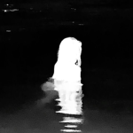 ɴᴇʜɪʀ