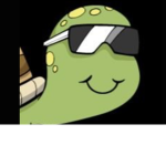 THE #TURTLE SQUAD