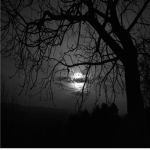 Mythical Darkness