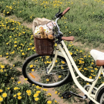 complimentary bikes