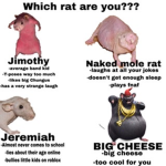 Rat of The Haven