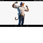 the Meowscles group