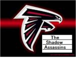 The Shadow Assassins force