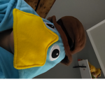 Jake gamer group