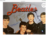 The silver beatles cool gang