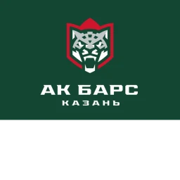 Arena tatneft icon