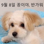 백두산 부대 | Republic of Korea Army