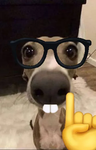 Cës UGC