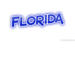 FF:RP | Florida Finest Roleplay