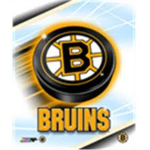 Roblox Bruins
