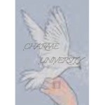 Charme University