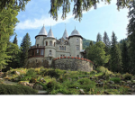 The kingdom of white