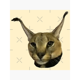 the untested obby