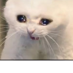 I'm not perfect