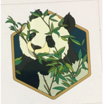 #panda fan clan