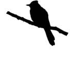 GREEN JAY CLOTHING™
