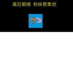 瘋狂蝦捲 粉絲聚集地