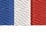 Frances Government