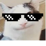 B e l u g a king