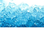 Bestplayer's friend robux group