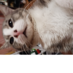 Hey buttercup