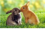 The Best Friends Only!