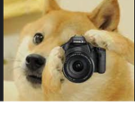 Recording For Buffdoge official