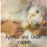 Apples And Onions rabbits group