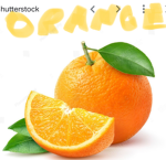 <(Orange paradise)>