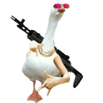 teammerkuhg1