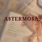 A$TERMO$A