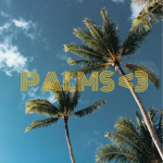 Palms <3