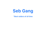 Seb Gang LS