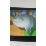 Animal Crossing fanz