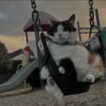 loving playtime Group Thumbnail