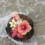 ⋆summerwhirl⋆ Group Thumbnail