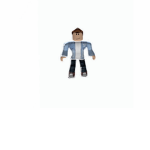 The roblox monkey