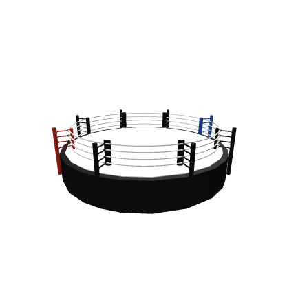 Bare Knuckle Boxing Ring