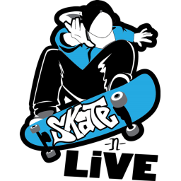 RGS SkatePark WIP