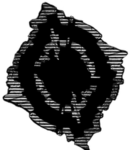 [Chaos Insurgency Dev/RP Team]