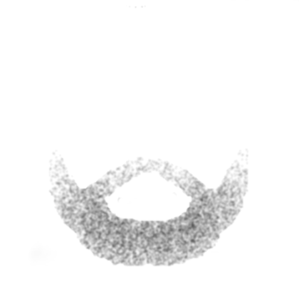 Untidy Facial Hair Roblox decal
