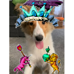 People who like dog Group