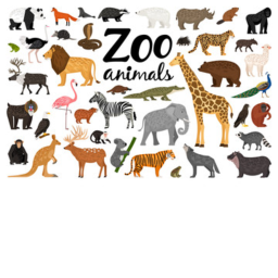 animals zoo