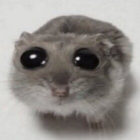 survival sad hamster the killer
