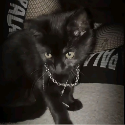 ☆