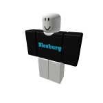 Blox burg